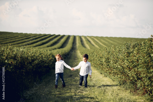 Beautiful little girl in a white shirt. Childred playing in a summer field © hetmanstock2