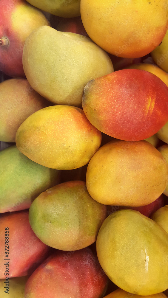 mango fruit on a market mango fruit on a market