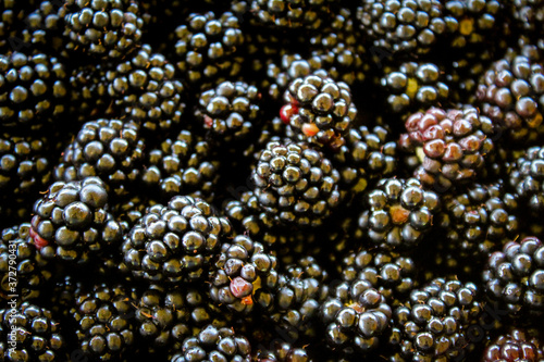 Full frame shot of the blackberries.