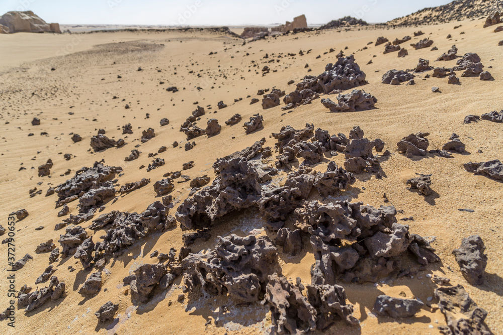 View over a sandy plain with isolated rock formations, Chad View over a sandy plain with isolated rock formations, Chad