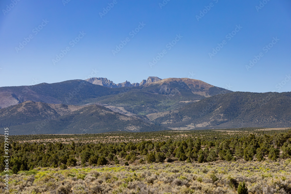 Sunny view of the beautiful Wheeler Peak