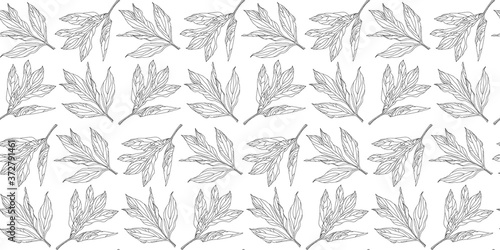 Sketch Peony leaves seamless pattern isolated on white background. Hand drawn Black line Vector illustration