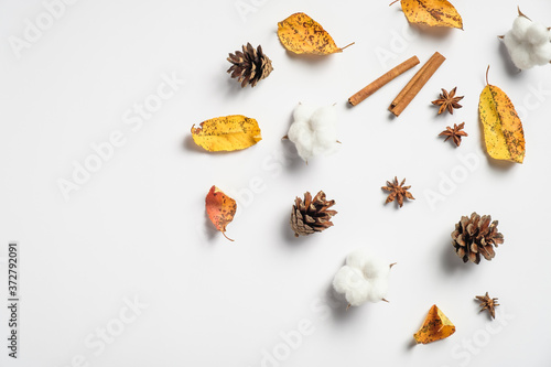 Autumn composition. Frame made of pine cones, cinnamon sticks, fallen leaves, cotton on white background. Autumn, fall concept. Flat lay, top view
