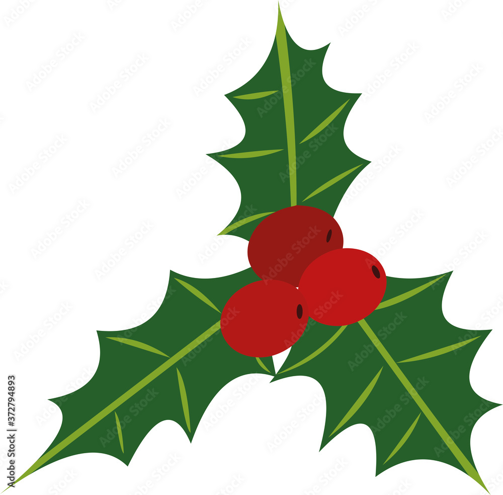 Fototapeta premium Vector illustration of a mistletoe emoticon