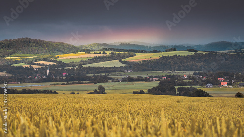 Fototapeta Naklejka Na Ścianę i Meble -  Wheat field with a panorama of the hills, a rainbow on a background of storm clouds.
