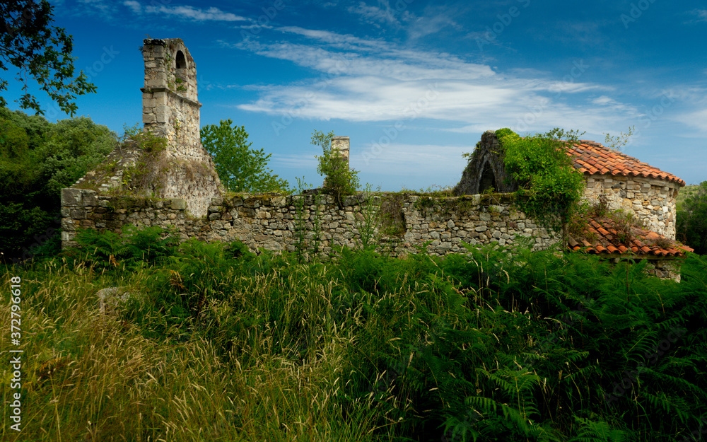 Ruins of an old church surrounded by green vegetation in Asturias, Spain.