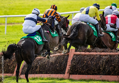 Race horses jumping a hurdle on the race track