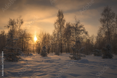 sunrise in winter