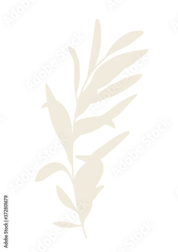 Abstract floral clipart for collages. Foliage silhouette on the white isolated background.