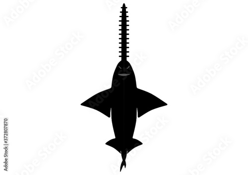 sawfish