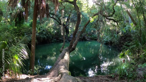 The green sulfuric waters of Green Springs park Florida Deltona Volusia County photo
