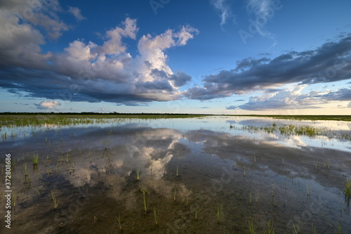Summer clouds over Hole-in-the-Donut habitat restoration project in Everglades National Park  Florida.