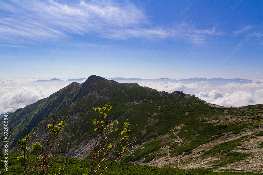 中央アルプス・木曽駒ヶ岳　登山道から望む伊那前岳と雲海に浮かぶ南アルプスの山々