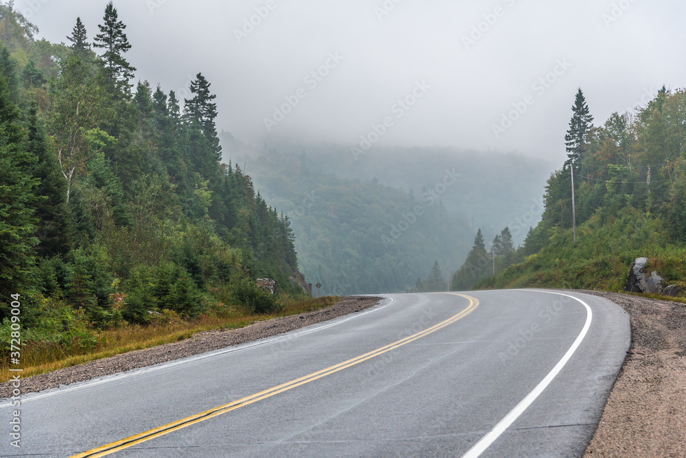 Fototapeta premium Strong fog.