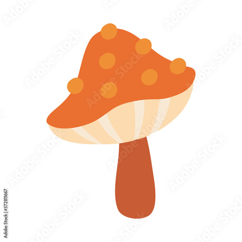 fungus plant flat style icon