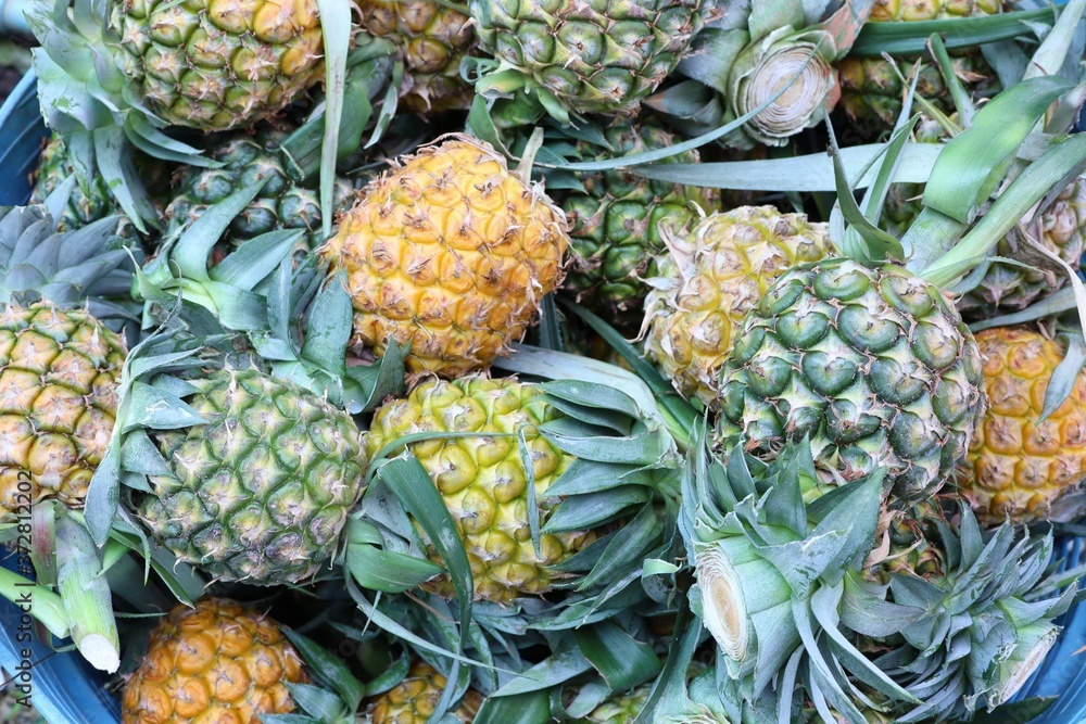 pineapple on the market pineapple on the market
