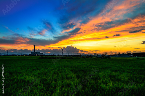 田園の夕景