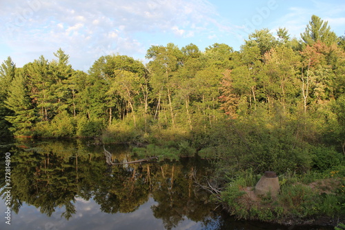 lake in the forest