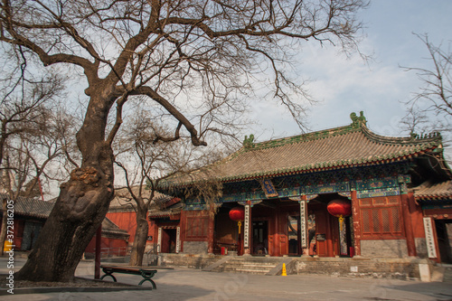 Main hall at the Dongyue Taoist temple beside an old bare tree in Beijing, China photo