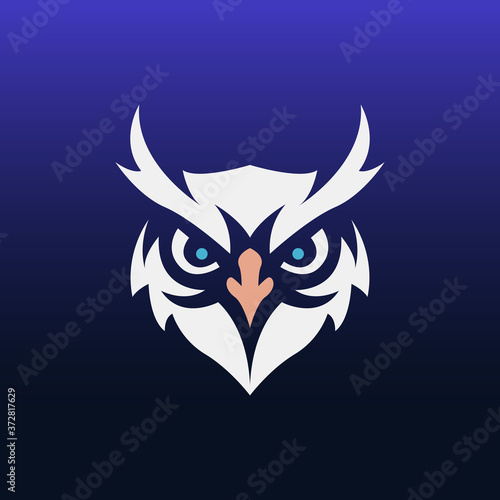 Owl mascot logo template