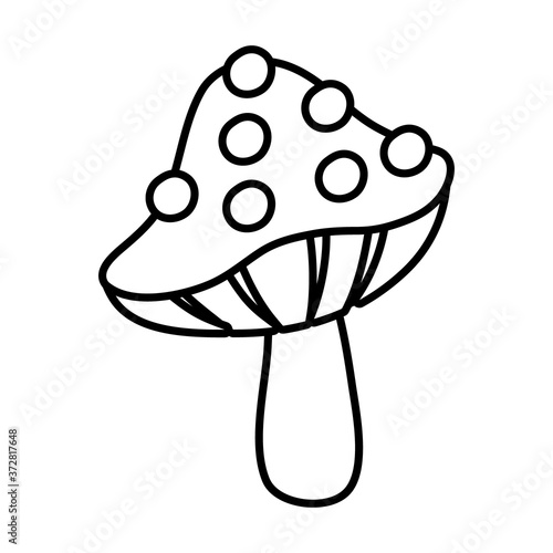 fungus plant line style icon