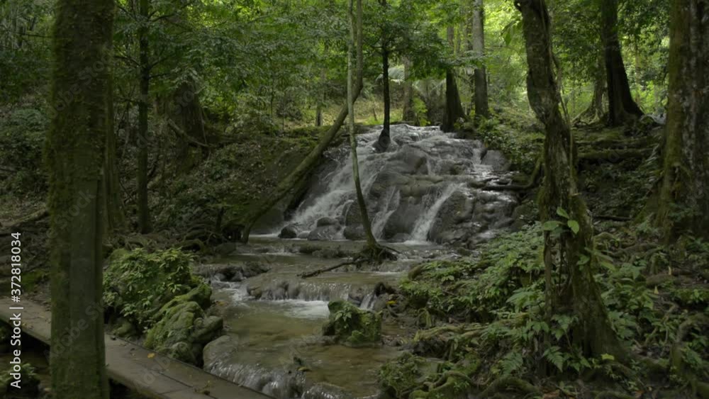 Wonderful scenery of water stream flowing from cascade over the rocks through green plant in fertile forest. Abundance of tropical rain forest with waterfall surrounded by lush foliage vegetation. Wonderful scenery of water stream flowing from cascade over the rocks through green plant in fertile forest. Abundance of tropical rain forest with waterfall surrounded by lush foliage vegetation.