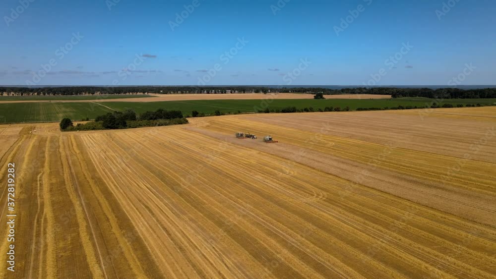 Golden brown fields of barley. Aerial view. Polish farming. 4K Golden brown fields of barley. Aerial view. Polish farming. 4K