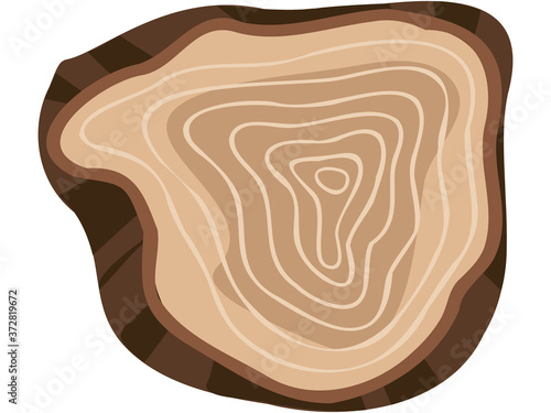 切り株フレーム 4