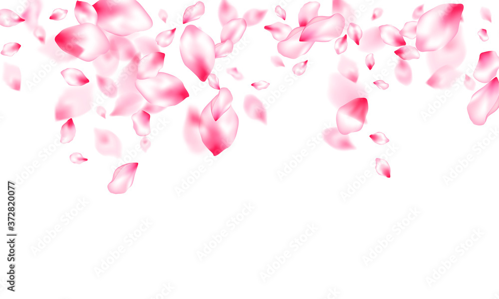 Spring blossom isolated petals flying Spring blossom isolated petals flying