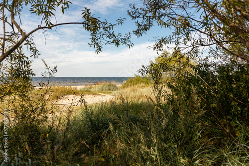 In the dunes by the beach