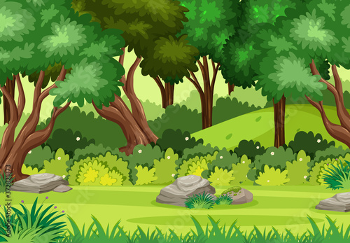 Empty nature scenes with green trees in the forest