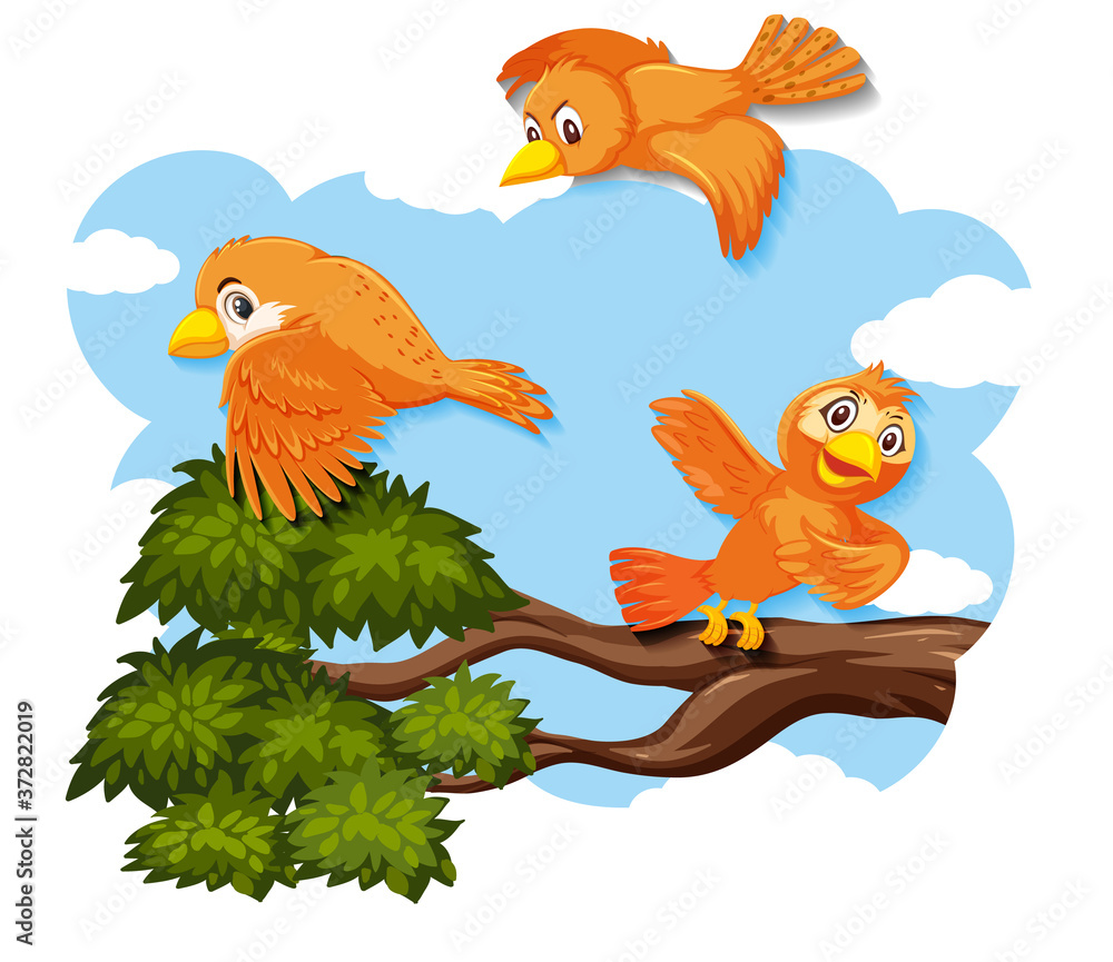 Happy bird flying in nature