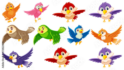 Set of bird cartoon character © brgfx