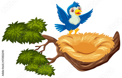 Happy blue bird flying to empty nest