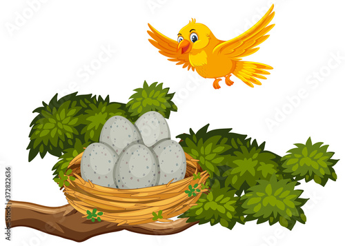 Yellow bird flying to the nest