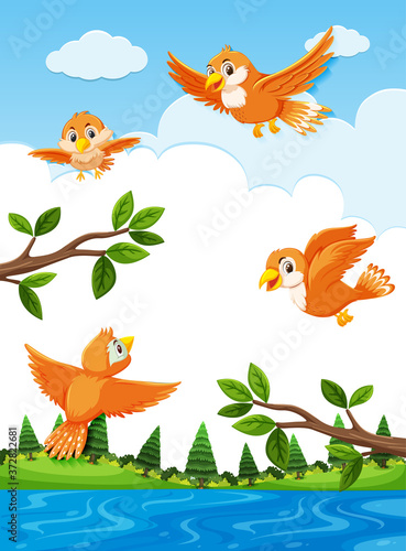 Orange birds in the nature