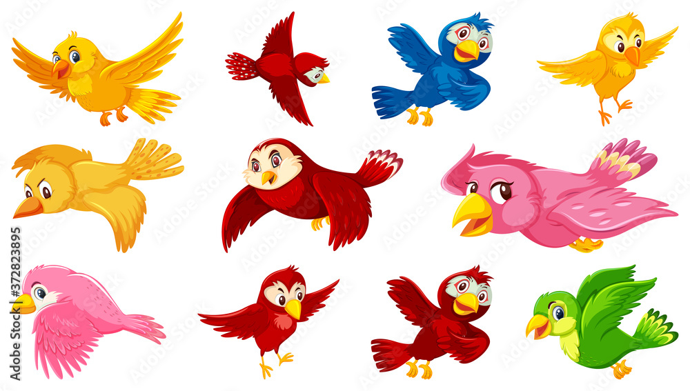 Set of bird cartoon character Set of bird cartoon character