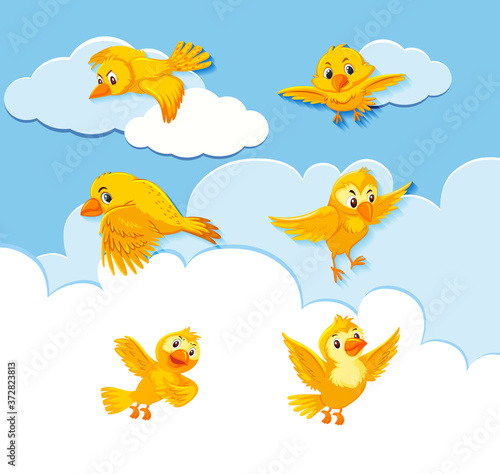 Set of bird character on sky background