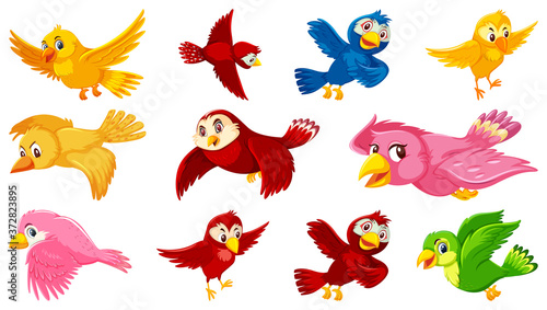 Set of bird cartoon character