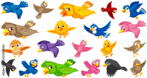 Set of bird cartoon character