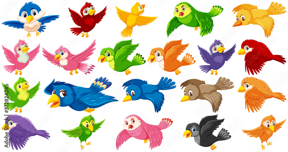 Obraz premium Set of bird cartoon character