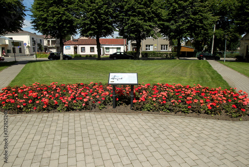 The city of Kedainiai in Lithuania is decorated with colorful flowers photo