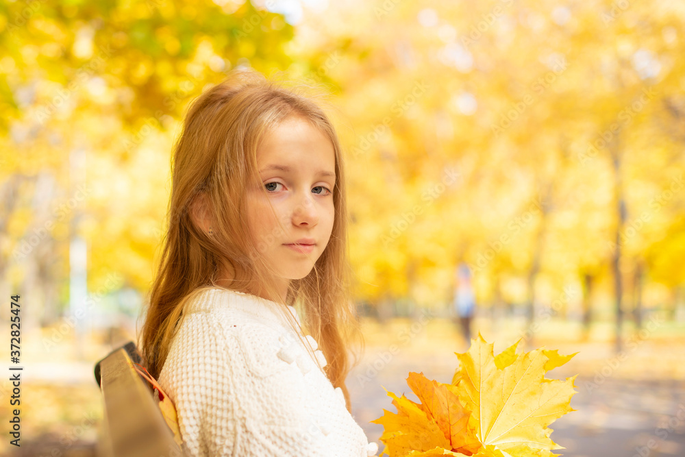 beautiful blonde teen girl sitting on a bench in an autumn Park with maple trees beautiful blonde teen girl sitting on a bench in an autumn Park with maple trees