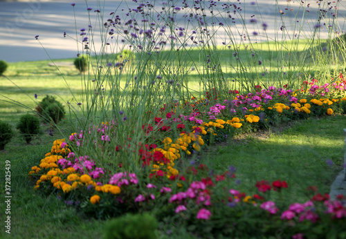 The city of Kedainiai in Lithuania is decorated with colorful flowers photo