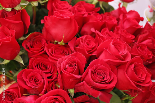 Bouquet of beautiful red roses  closeup
