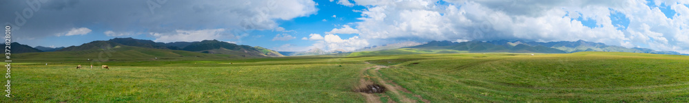 Panoramic landscape of beautiful green mountain valley with blue cloudy sky on background.  Mountain valley view. Summer nature landscape. Shalkode valley, Kazakhstan.
