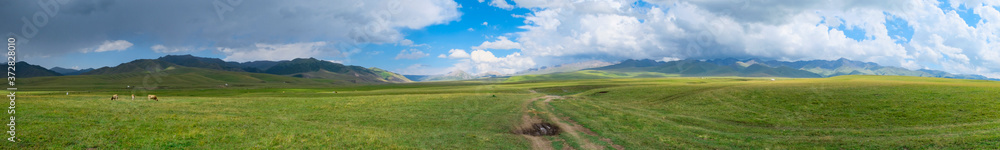 Panoramic landscape of beautiful green mountain valley with blue cloudy sky on background. Mountain valley view. Summer nature landscape. Shalkode valley, Kazakhstan. Panoramic landscape of beautiful green mountain valley with blue cloudy sky on background. Mountain valley view. Summer nature landscape. Shalkode valley, Kazakhstan.