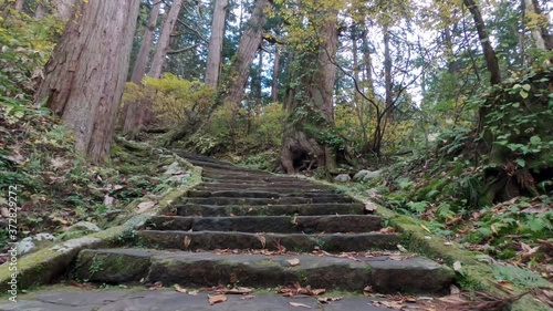 Camera moving over old stone stairs with autumnal leaveson them in a pine forest in japan. The path leads on Haguro Mountain  photo