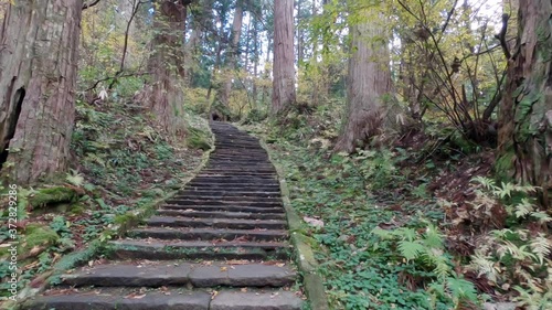 Hand-hold walking over old stone stairs leading up the holy mount Gassan in Japan, inside a pine tree forest photo