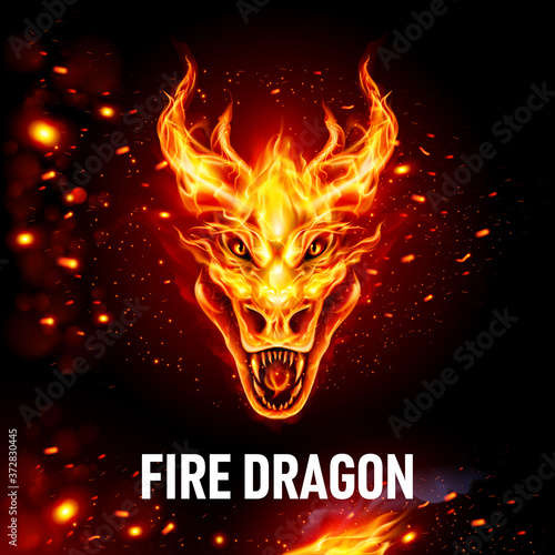 Fire Dragon Head in Flame on the Dark Background. Head of Dragon with Open Jaws. Image for Print on Clothing, Stickers. Illustration for Wrapping Drift Car Hood